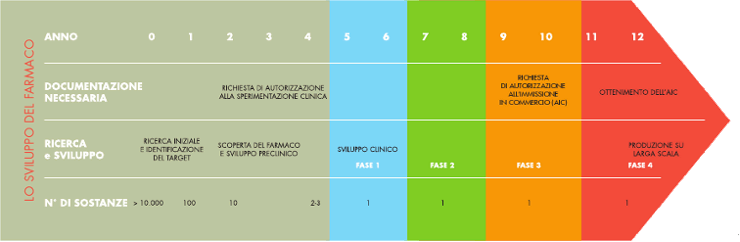 Infografica: lo sviluppo di un farmaco anno per anno. Negli anni 0-4 di ricerca e sviluppo preclinico oltre 10.000 sostanze si riducono a 2-3, e si chiede l'autorizzazione alla sperimentazione clinica. Negli anni 5-10 si svolgono le fasi cliniche 1, 2 e 3 con una sola sostanza; negli anni 9-10 si chiede l'autorizzazione all'immissione in commercio (AIC). Negli anni 11-12 si ottiene l'AIC e iniziano la fase 4 e la produzione su larga scala.